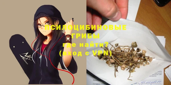 первитин Алексеевка