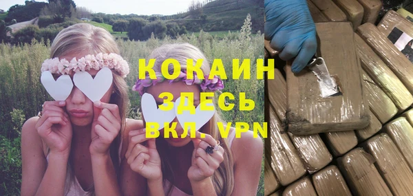МДПВ Алзамай