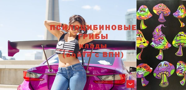 дурь Осташков