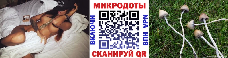 Галлюциногенные грибы Psilocybe  Бирск 